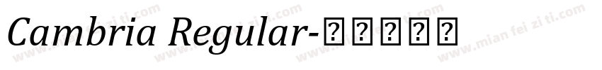 Cambria Regular字体转换